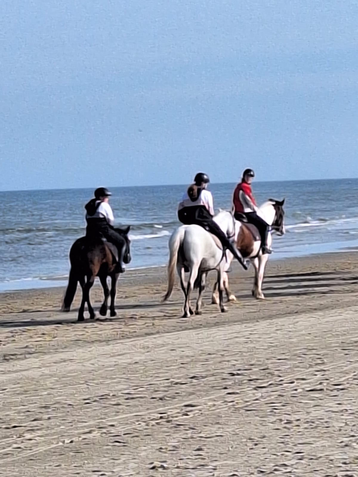 Reiten