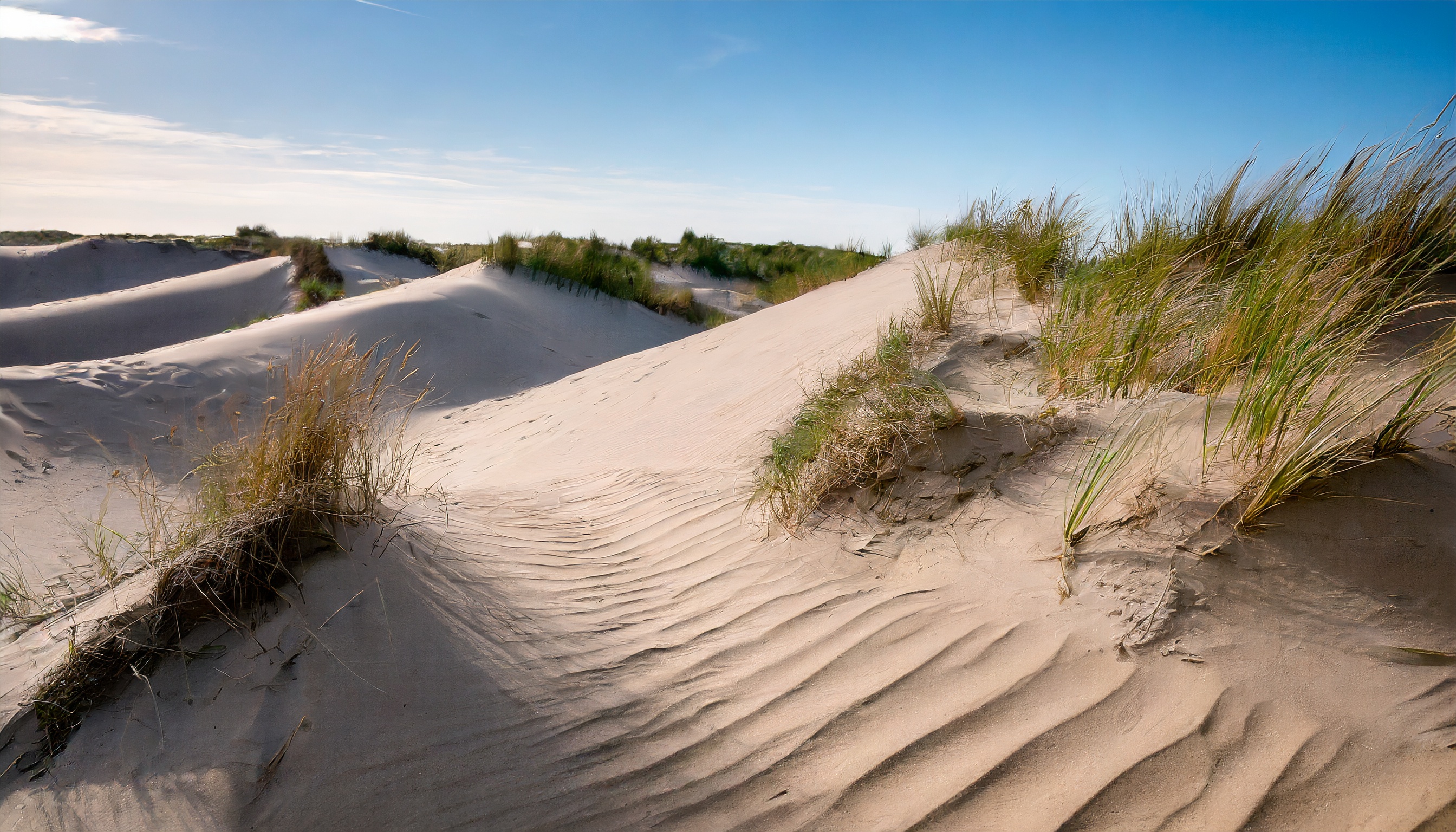 DünenSand
